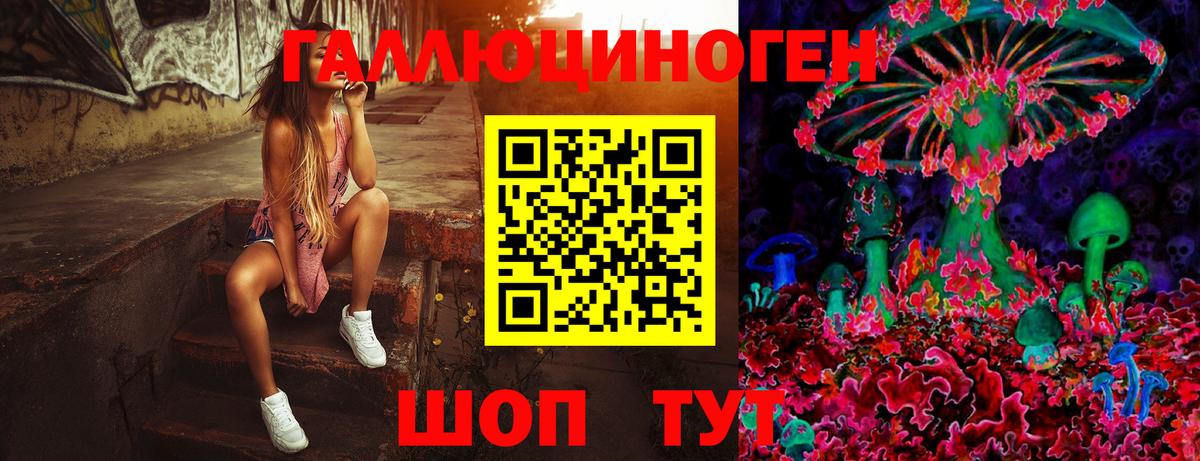 Галлюциногенные грибы Psilocybine cubensis Тверь