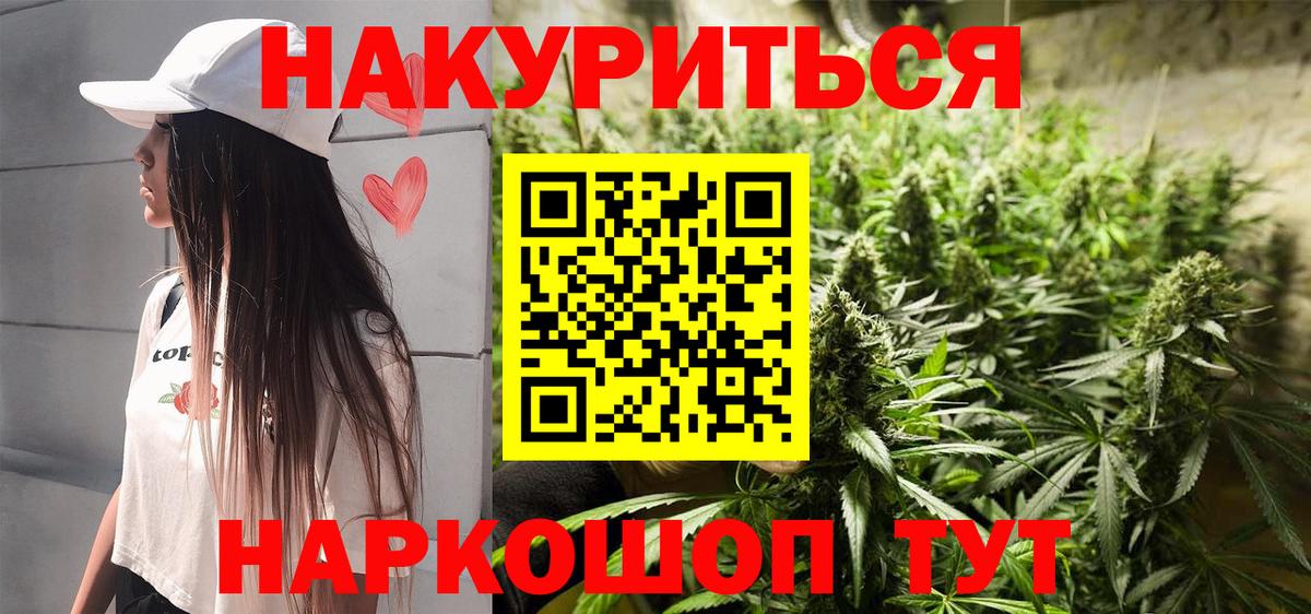Конопля сатива  Шишки марихуана конопля  Бошки Шишки план  Вход с VPN  Тверь 